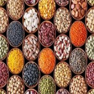  Recherche Des Fournisseurs - céréales en recherche des fournisseurs et des soci&eacute;t&eacute;s qui produisent les c&eacute;r&eacute;ales et les l&eacute;gumineuses a exporter au pays du golfe.