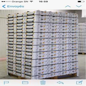  Mangue Kent - fruits et légumes bonjour nous avons une quantit&eacute; illimit&eacute; de mangue kent en provenance du senegal , ---le prix pour le march&eacute; marocain 14 dhs le kg y compris les frais de transport routiers et les frais de d&eacute;douanement ---pour le march&eacute; etranger ( europe,  asie veuillez me contacter 