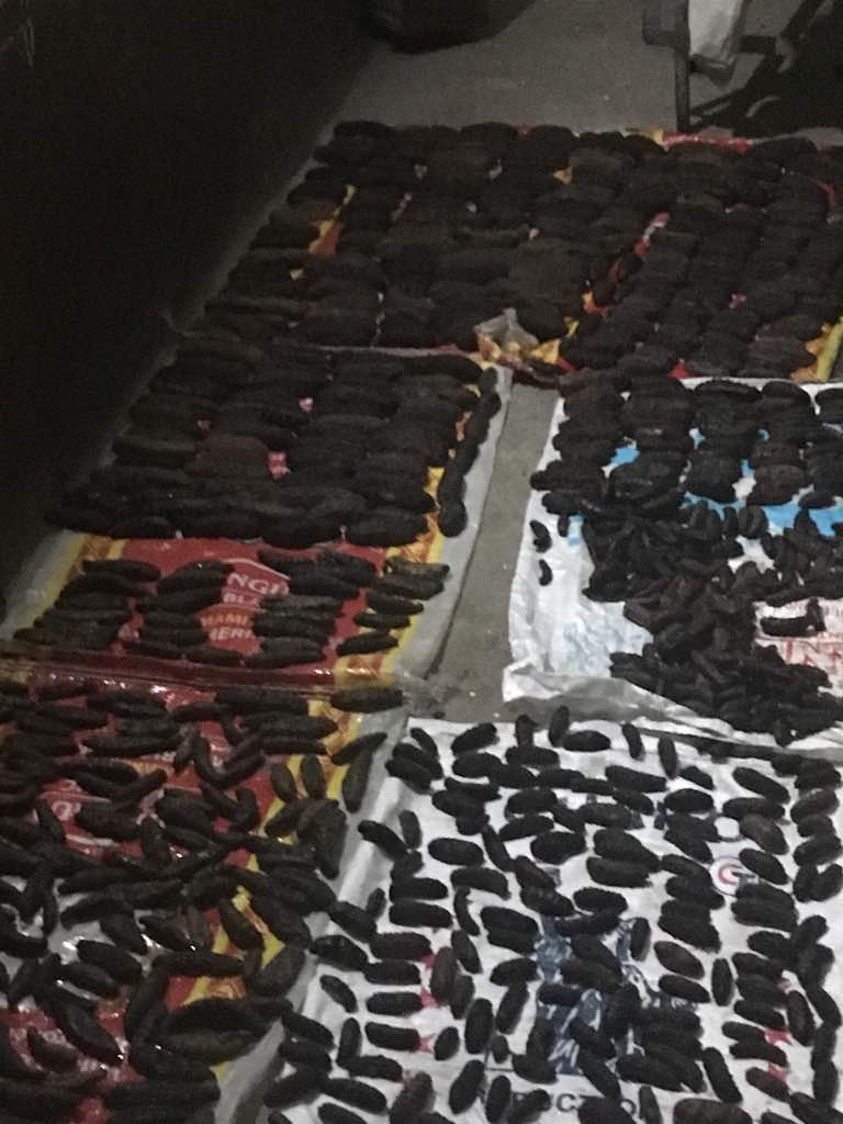  Rechercher Des Acheteurs De Concombre De Mer - coquillage crustacé nous sommes nerljodams island company et nous sommes des fournisseurs des concombres de mer de qualité ,  et nous sommes à la disponibilité de tous les acheteurs à l'etranger qui veulent acheter nos produits,  contactez nous et dites nous vos exigeances et nous serons heure