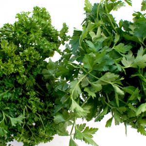  Persil Frisé,plat Tunisien - fruits et légumes implanter au cœur des champs de production de légumes et fruits dans la région de jedaida,  ou on peut produire et/ou regrouper des diversités de légumes et fruits  avec une bonne qualité/prix