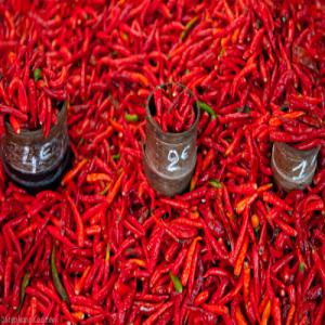  Permaculture - fruits et légumes bonjour je recherche de nouveaux clients .  je viens de démarrer mon activer dans la permaculture où je produits du piments d'excélentes qualités  sans produit chimique ,  tout est naturelle pourquoi acheté chez nous,   nos prix qui défis  toute concurrence ,  nous so