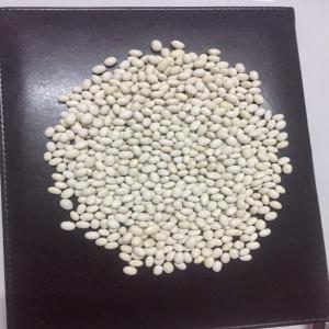  Grande Quantité D'haricots Blancs Et Rouge - fruits secs et graines grillées grande quantité de haricot blanc et rouge fournisseur du yémen prix ultra compétitif. veuillez nous contacter si intéressé.