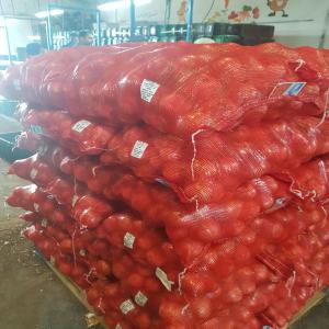  Ognion Marocaine - fruits et légumes bonjour--notre société basé sur la région du souss massa au sud du maroc le capital du productions agricoles en travaille sur l'oignon et pommes de terre. --notre société travailler pour le client et ses caractéristiques sur le produit en est toujours