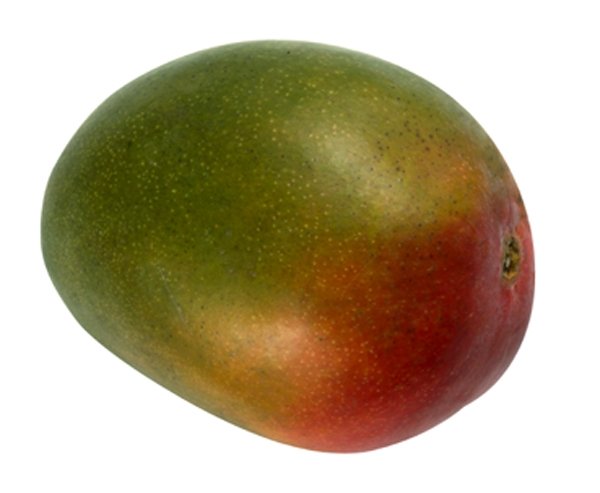  Mangues De Type Kent - fruits et légumes nous sommes une entreprise exportatrice de mangues bio de type kent du sénégal. nous avons diverses certifications notamment global gap,  certys et global garaps. la commercialisation débutera en mi-juin. nous faisons du fob dakar autrement dit que nous assurons le conditionnemen