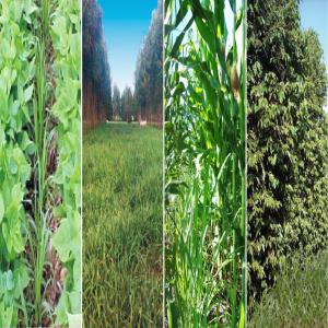  Product Marketing Partnership And Consulting. - other we are a brazilian group of investors and consultants that operates in the sector of commercialization of products and technology focused on agriculture and livestock,  with extensive experience in grains,  cereals,  fruit growing and livestock.----we are looking for partners for the extension of comme