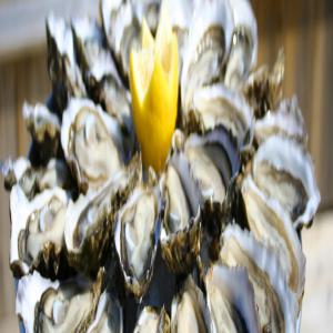  Exportation D'huitres Du Bassin D'arcachon - coquillage crustacé societé française d'ostreiculture sur le bassin d'arcachon ,  produit et envoie huitre n*3 - n*4 - pour restaurateur ,  poissonnerie et semie grossiste. envoie dans toute l'europe. (conditionnement en bourriche )----empresa francesa de ostras en la bahía de arcachon ,  producción y envió 