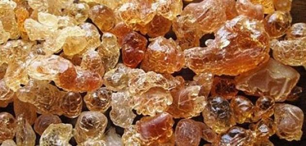  Gomme Arabique, Sesame Arachid,hibiscus - fruits secs et graines grillées nous sommes un établissement soudanais spécialisé dans la production des produits agricoles (gomme arabique,  sésame,  arachide,  hibiscus,  bananes,  mangues).--nous avons des partenaires en turquie et en chine et nous cherchons actuellement des acheteurs sérieux pour 