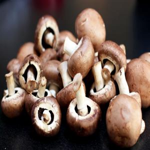  Vendre Des Champion - champignon levure bonjour je recherche des clients potentiel qui veut acheter des champions en grande quantité! nous habitons au bénin et nous avons un grand hectare de production des champion de bonne qualité !--si vous etes intéressé, merci de nous contacter !!!!!!!!