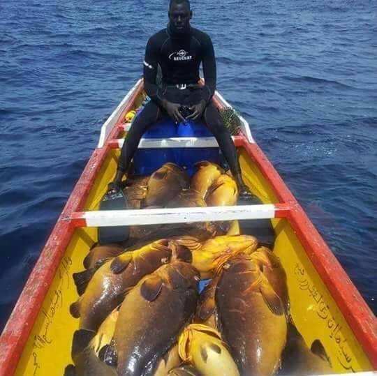  Grossiste Poissons - poissons bonjour --pour la periode de l ete nous proposons des poissons frais et de bonne qualite aux differents pays du monde --nous sommes exportateurs de poissons et garantissons le serieux dans le travail nous sommes en contact direct avec le client pas d intermediare et nous avons la quantite aussi a of