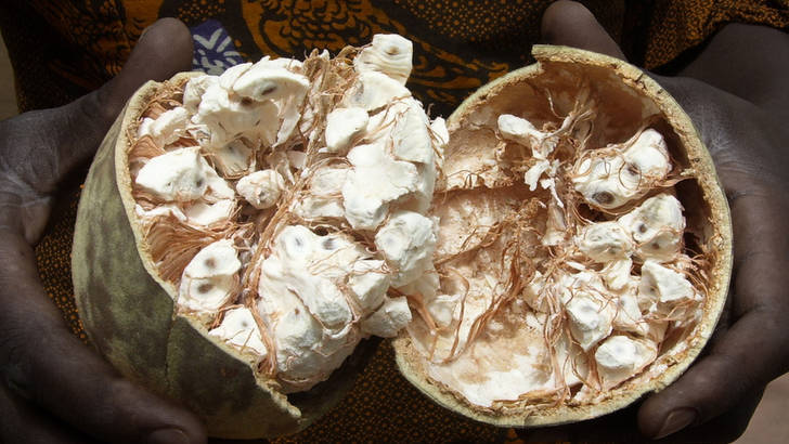  Pain De Singe - produits sucrés bonjour. nous avons à vous offrir du pain de singe en poudre (fruit issu du baobab)...pour tout besoin,  n'hésitez pas à nous contacter.--merci.