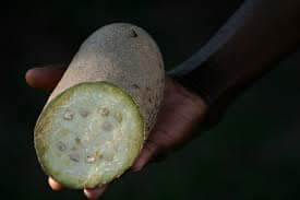  Vente De Produits Agricoles - fruits secs et graines grillées je recherche des clients pour exporter du bénin dans tous les pays du monde des produits comme le charbon végétal,  le beurre de karité,  la noix de palme,  le kigelia africana ,  les graines de moringa,  le jatropa,  l'arachide ,  la poudre de manioc,  la poudre d'igname et bien