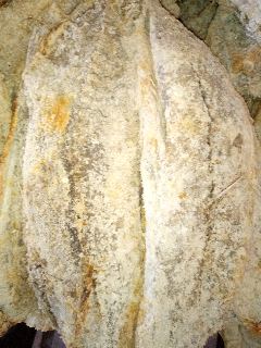  Poisson Salé Séché - poissons je suis un producteur de transformation de poissons salés et séchés  basé au sénégal dans le département de rufisque commune de yene .poisson traité  thon requin machoiron lotte capitaine etc