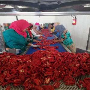  Tomates Séchées De La Tunisie - fruits et légumes je suis producteur et je vends des tomates séchées de la tunisie en quantité dans des cartons de 10 kg de 1ere catégorie si vous etes intéréssés merci