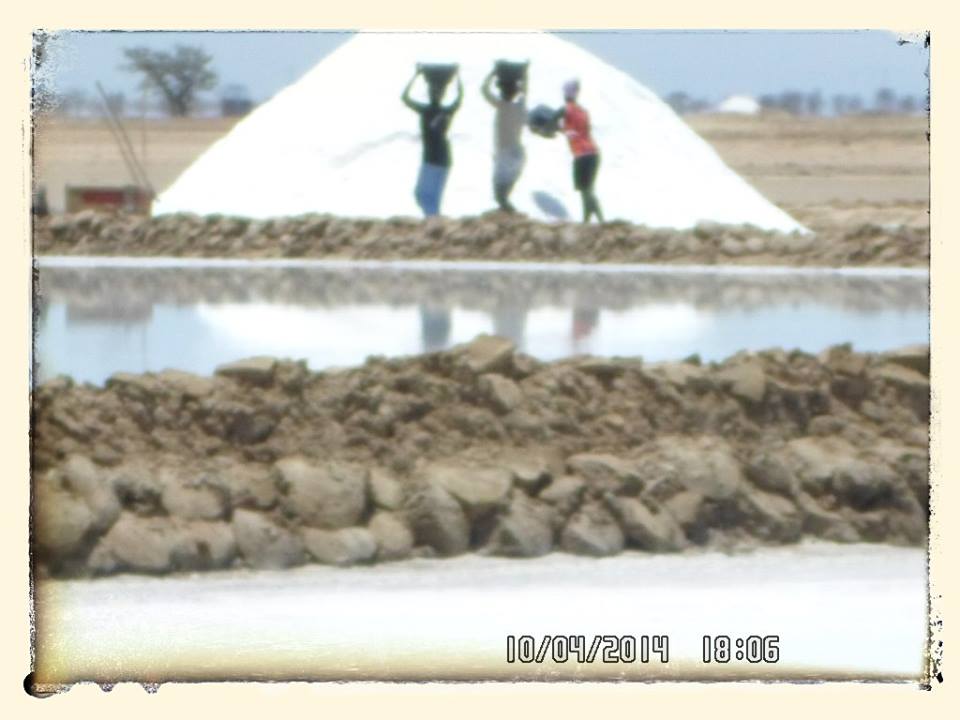  Vente De Sel Iodé En Quantité Et Qualité - hygiene entretien je me nomme et je suis un jeune producteur de sel au sénégal dans la région de fatick. chaque année nous produisons 2500 tonnes dont une partie est vendue au sénégal,  dans la sous région  et à l'internationale . quelques soit votre demande nous