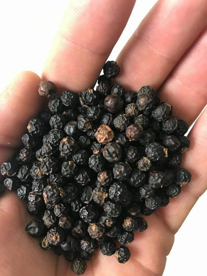  Brazilian Black Pepper - coffee cocoa tea works with the highest quality black and white pepper. looking for attend the most judicious markets in the world,  based mostly in taking care about quality of the plantation,  pesticides,  time for harvest and drying method.--all the plantations follow rigorous methods of distance between piles,  syst