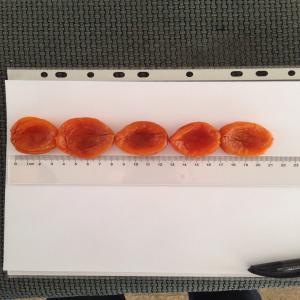  Fournisseur Fruits Et Legumes Secs Bio Abricots - fruits secs et graines grillées basée en france,  notre entreprise est spécialisée dans la promotion et la commercialisation de produits agroalimentaires ouzbeks (ouzbékistan). via notre maison mère en ouzbékistan,  nous proposons une large gamme de produits comme les fruits secs et lé