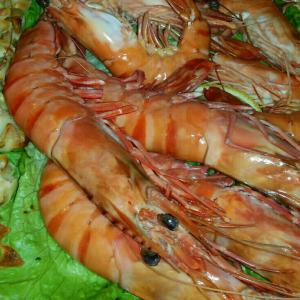  Recherche Fournisseur De Crevette - poissons nous somme distributeurs de poisson et fruit de mer en tunisie nous cherchons un sérieux et fiable fournisseur pour l'achat de crevette nom français -  crevettes tropicale tigrée--nom scientifique - panaeus monodon ou panaeus semiscultatus des quantite partiel par avion (100kg) 