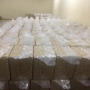  Anacarde Décortiqué - fruits secs et graines grillées nous disposons actuellement en stock à bobo-dioulasso une quantité importante de anacarde décortiqué. nous recherchons des acheteurs sérieux pour les fournir. pourquoi pas entretenir des relations de partenariat après une première collaboration r&eacu