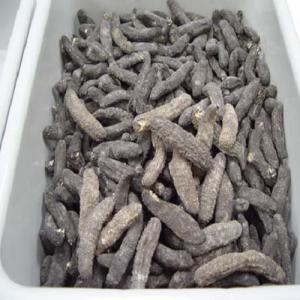  Recherche De Concombre De Mer - autres je recherche les concombre de mer de toute urgence jusqu'au 25/08/2018 à 400 euros par kg. --annonce de londres. 