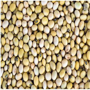  Vente De Soja Bukrina Sale Soybeans Burkina - semence graine plant commerce familiale longuement installé au burkina-faso producteur et exportateur de nos quatre plantations de production au burkina faso. capacité annuelle de 600 000 tonnes avec stock actuel (2016,  2017) de 1100 tonnes. xof 310 / prix par kg pour l'achat de ouagadougou triés,  n