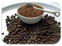  Pimenta Dioica - épices aromates pimenta dioica,  connue aussi comme poivre de jamaica ou,  quatre épices. actuelle récolte 2018,  sèche ou verte dans vinaigre,  qualité excellente. nous pouvons préparer condiment aux viandes avec cette épice. goût exquis,  elle peut etre utilisée d