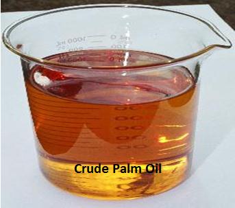  Huile De Palme Brute - huiles je recherche une importante quantit&eacute; d'huile de palme brute (crud palm oil) pour exportation.--n'h&eacute;sitez surtout pas &agrave; me contacter le plus vite possible.--