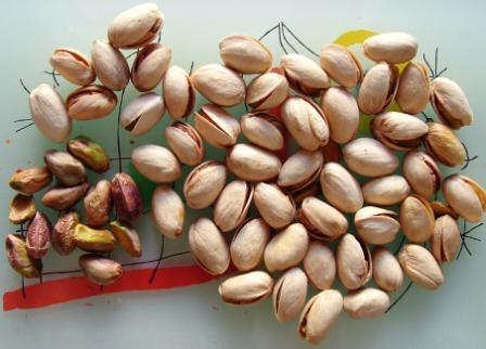  Pistachio Long Shape Tunisien - fruits secs et graines grillées nous somme une st&eacute; tunisienne,  nous appartenant &agrave; un group,  nous approvisionnons de pistache avec coque /brute,  saison 2018/2019.--sp&eacute;cification- pistache halbi tunisien,  nab el jamal or akhb&acirc;ri /long shape --emballage et conditionnement en vrac /pp bag 25/50 kg --quantit&