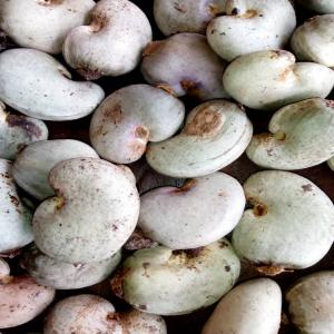  Le Petit Africain - fruits secs et graines grillées nous avions beaucoup de chose demander ce que vous voulez et vous l'aurez nous dans tous les domaine du bois aussi car l'afrique en possède beaucoup nous somme le grand génie du bois de l'afrique