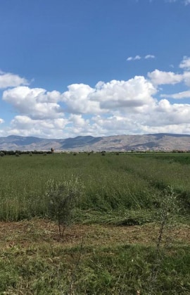  Terrains Au Maroc Dans Mediouna Vendre Trés Bon - mine terrain concession des terrains au maroc dans mediouna a vendre trés bonne état agricol et les projets de construction bien titré chaque titre à une spesephic surface --9000 m²--2hectar--4hectar--5hectar--12hectar