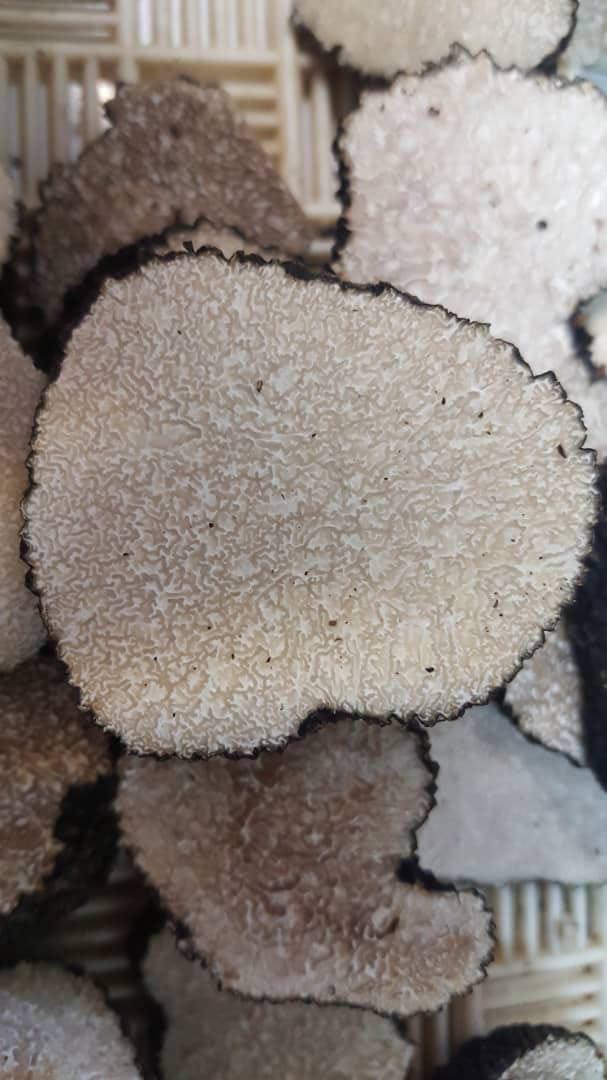  Vendeur De Truffe D'été - huiles nous importons des truffes d'été du nord de l'iran. au niveau d'odeur et saveur très comparable meme mieux que les truffes françaises et moins chères.