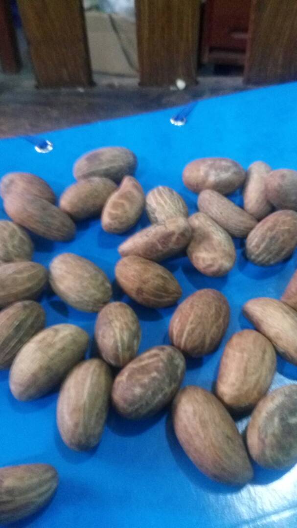  Petit Kola Ou Betters Kola D'afrique De L'ouest - fruits secs et graines grillées nous sommes une société spécialisée dans le conseil agricole et la mise en marché des produits agricoles tropicaux de nos réseaux d'acteurs (producteurs,  transformateurs,  commerçants,  prestataires de services aux acteurs directes des chaines de valeur