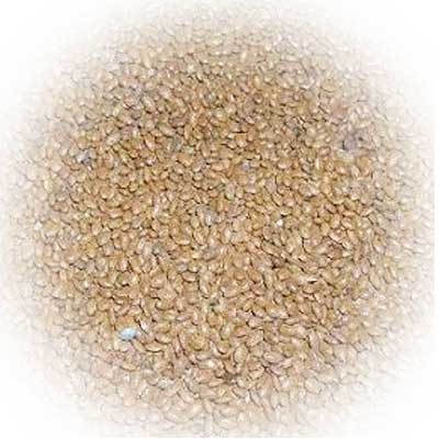  Supply Kiwi Seeds For Food Manufacturer - seed plant seed dried kiwi seeds can be used in puree making,  bakery,  beverage and oil extract processing etc.--they are clean and washed out from fresh kiwi fruits.--fob- tianjin port,  china--moq- 1mt--leading time- 30days--