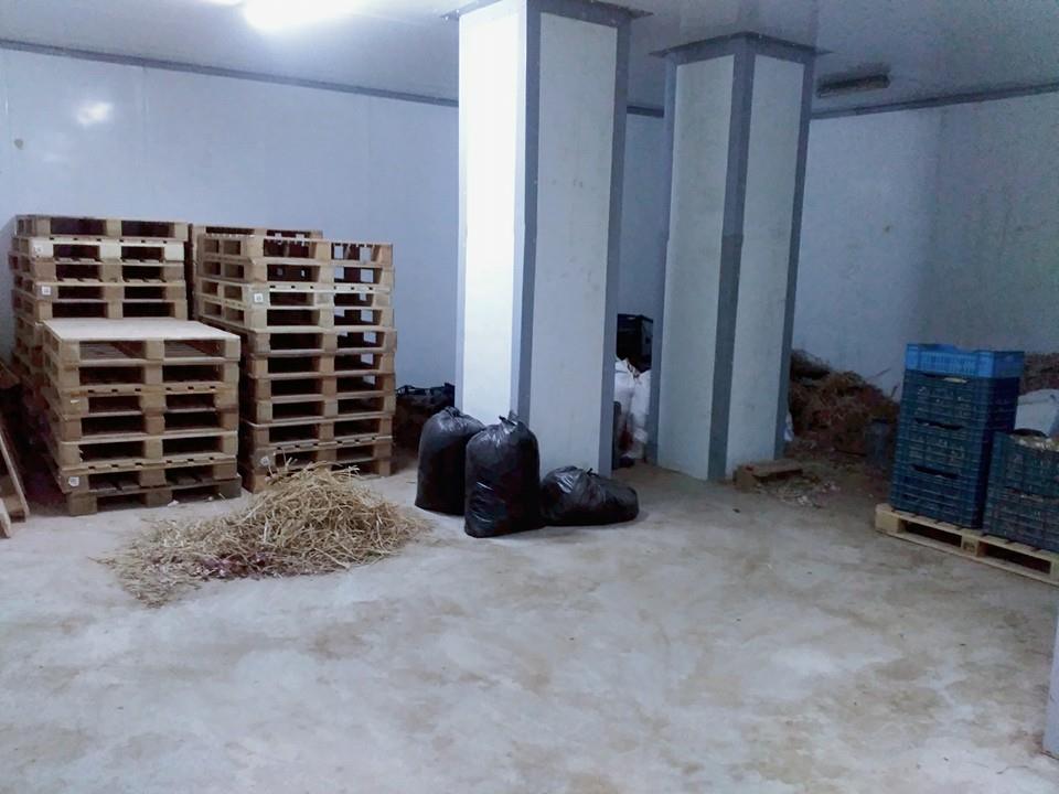  Recherche Partenaire - fruits et légumes bonjour,  je suis a la recherche d un partenaire financier ma proposition--est une association 50/50 sachant que j ai une exp&eacute;rience plus de 6 ans--dans le domaine de l entreposage frigorifique de fruit & l&eacute;gumes--(ail,  oignon,  pomme de terre,  pomme,  orange,  citron,  raisin   etc. ) et--