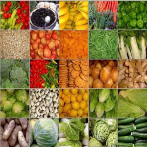  Recherche Terrain Agricol Et Associé Madagascar - mine terrain concession bonjour.----je cherche un terrain agricole à madagascar. minimum 50 ha. de préférence type bahiboho mais toute proposition sera étudiée.----etant agronome et disposant d'une bonne expérience à madagascar en production agricole végétale  