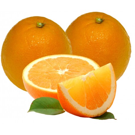  Orange Valanciana - fruits et légumes nous avons une bon qualité de produit d orange et de  légumes merci de contacter 