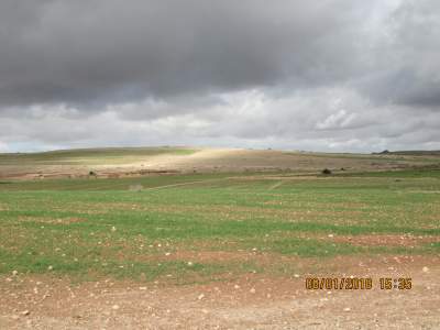  Vend 20hect Bcp D' Eau +elect 75km Demarrakech - mine terrain concession proprietaire unique  vends terrain  agricole de 20 hectares à 75km  de marrakech tres bien dote   en eaux (beaucoup  d eaux)   et electricité   aussi.   tres bien desservi par les transports  .--le terrain peut servir  de projet  agricole ,  tourististque,  agrotouristiue  ou autres.-- 