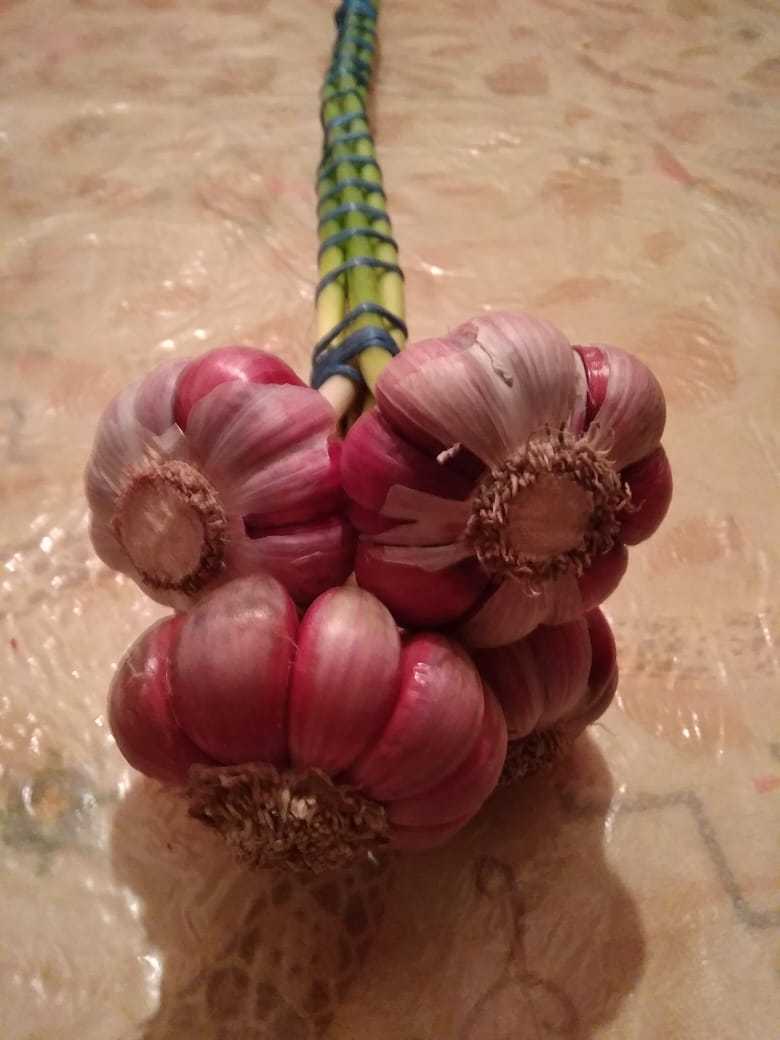  Ail Rose De Bonne Qualité Et Bon Prix - fruits et légumes je mets en vente ma production de l'ail rose de bonne qualité- goût,  calibre et couleur ,  de la zone montagneuse du haut atlas. la quantité disponible est de 10 tonnes avec possibilité de livraison gratuite à toutes les régions du maroc. 
