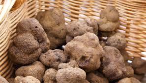  Des Produits Qui Améliorent Notre Métabolisme - publicité-nouveaux produits bonjour,  j'informe les professionnels de la sant&eacute; pr&eacute;ventive que je suis repr&eacute;sentante d'une grande entreprise am&eacute;ricaine sp&eacute;cialis&eacute;e en fabrication de produits genomceutical bio nous accompagnons les individus pendant le suivi de nos programmes transformati