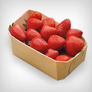  Barquettes En Bois Naturel - fruits et légumes fabricant d'emballages en bois léger. des barquettes en bois naturel pour vos produits de qualité--nous offrons à la livraison une large gamme de ses produits-paniers,  plateaux de support et conteneurs en bois.--fabriqué en bois dur,  notre emballage est 100% naturel,  pend
