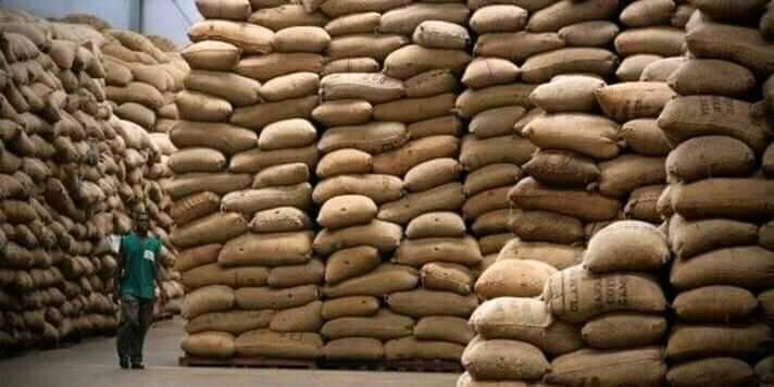  Noix D'acajou En Gros - fruits secs et graines grillées bonjour, je suis &agrave; la disposition de vente des noix d'acajou en gros et en d&eacute;taille .j'ai la bonne qualit&eacute; &agrave; ma disponibilit&eacute;.