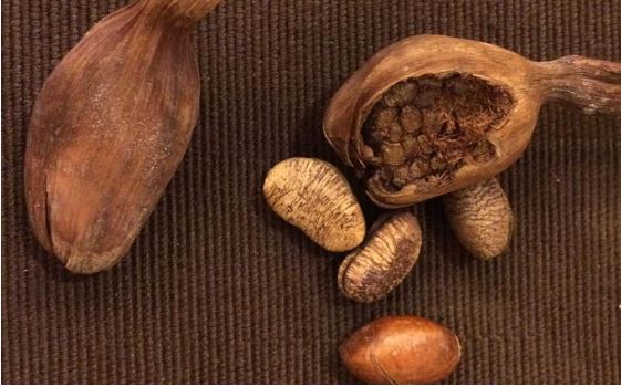  Épices D'afrique Très Rare Qui Saura Vous Séduire - épices aromates nous vendons des épices et thé presque encore méconnus à l'étranger mais très consommé localement. nous aimerions trouver des partenaires d'affaires pour pouvoir les commercialisés  à l'étranger. notamment en europe et asie.contac