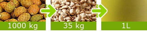  Recherche Une Nouvelle Marche - huiles recherche d'une cooperation ou une nouvelle clientele pour la vente de nos huile en europe ou par tous dans le monde