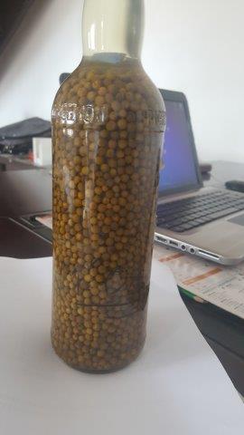 Poivre Vert En Saumure - conserve semi conserve  producteur professionnel de poivre vert en saumure de madagascar,  capacité de production - 16 à 20 containers par an.--les poivres verts en saumure madspices sont de première qualité mondiale et de madagascar - premier prix mondial lors de la dégustation à 