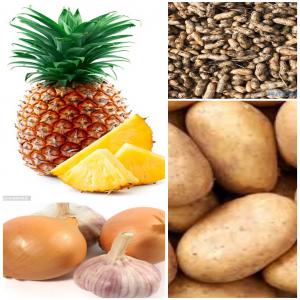  Legumes Fruits Et Grain Sec - fruits et légumes exportation - pomme de terre  ,  --oignons ,  ail ,  gingembre ,  pois du cap ,  salades  lettuce   et d'autre legumes . --contactez-nous 