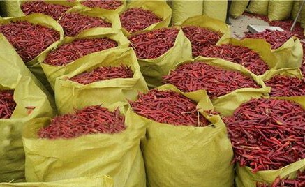  Piment Bec D'oiseau - fruits et légumes nous cultivons le piment au cameroun,  et sommes capables de livrer sur demande chaque mois selon la demande de nos acheteurs.