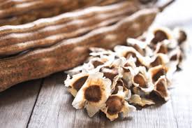  Grain De Moringa Bio De Madagascar - semence graine plant nous sommes producteur et collecteur de grain de moringa &agrave; madagascar. nous sommes d&eacute;sireux de nouer relation commerciale s&eacute;rieuse, ponctuelle et durable avec des acheteurs professionnels.--nous pourrions vous fournir au moins 2 tonnes par mois.--si vous en cherchez,  n'h&eacute;s