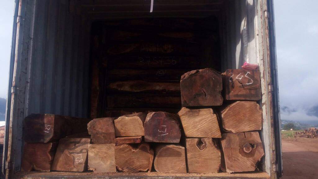 Rosewood Logs For Sale - wood charcoal fiber 1foot by foot - diameter - 30cm * 30cm - as mininun length- 7feet --sepcy - rosewood. please contact us for more information