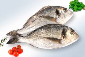  Cherche Importateur Pour Daurade Et Loup - poissons nous cherchons des partenaires pour nos produits d’élevage en mer (daurade et loup).--très bonne qualité et des prix très compétitifs.--