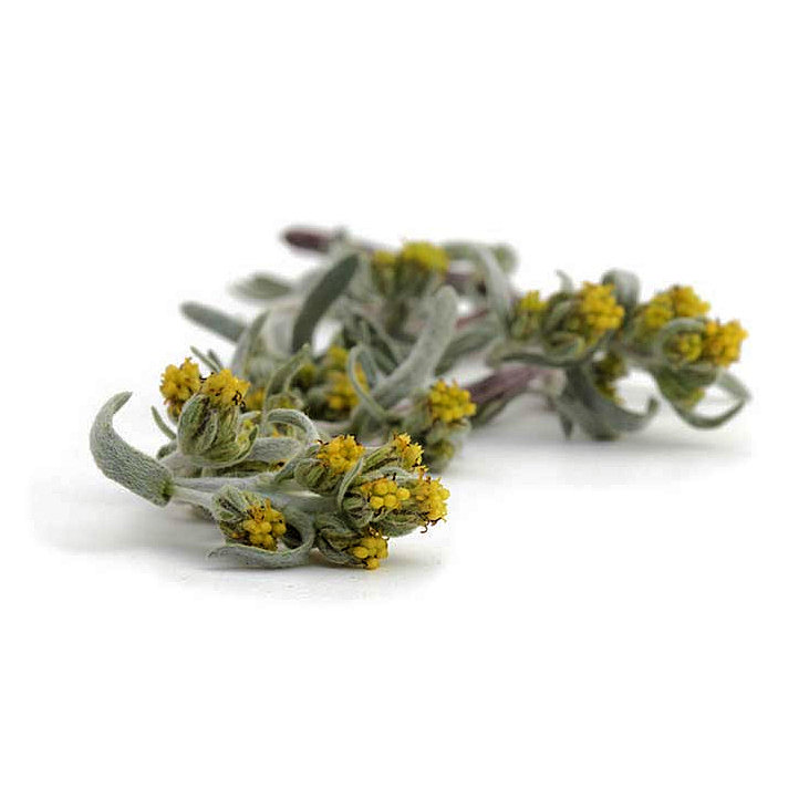  Génépi Sec (artemisia Umbelliformis) - matiere vegetale groupement de producteurs propose génépi sec pour liquoristes,  herboristes,  aromatisation,  négoces ...--variété artemisia umbelliformis aussi dénommée artemisia mutellina.--produit dans les alpes,  en mode biologique.---- 