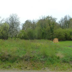  Investissement Lucratif - fruits et légumes monsieur / madame.--nous sommes une entreprise d'exploitation agricole bas&eacute;e au b&eacute;nin en afrique de l'ouest. --nous disposons de plusieurs hectares de domaine dans le zou du pays ( centre )  dont certains sont exploit&eacute;s pour la production des oranges et d'autres pour d'autres pr